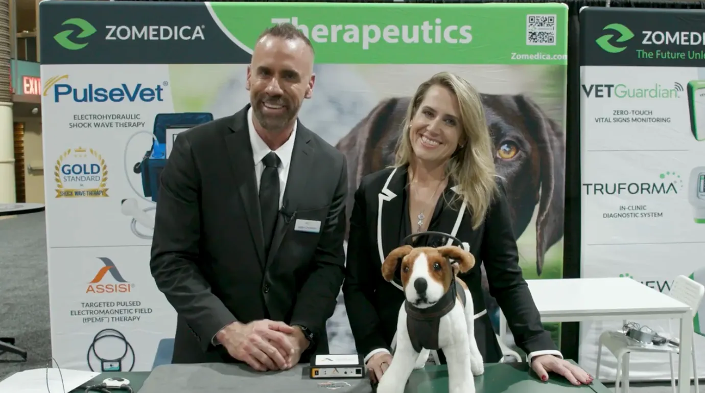 Drug-free ways to manage pain and separation anxiety in pets